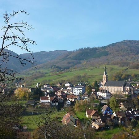 Willa Gite Schlitteur Et Sapiniere Breitenbach Zewnętrze zdjęcie