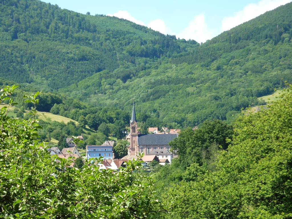 Willa Gite Schlitteur Et Sapiniere Breitenbach Zewnętrze zdjęcie