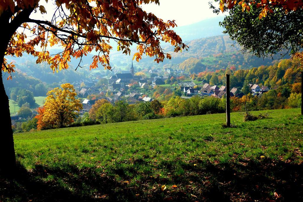 Willa Gite Schlitteur Et Sapiniere Breitenbach Zewnętrze zdjęcie