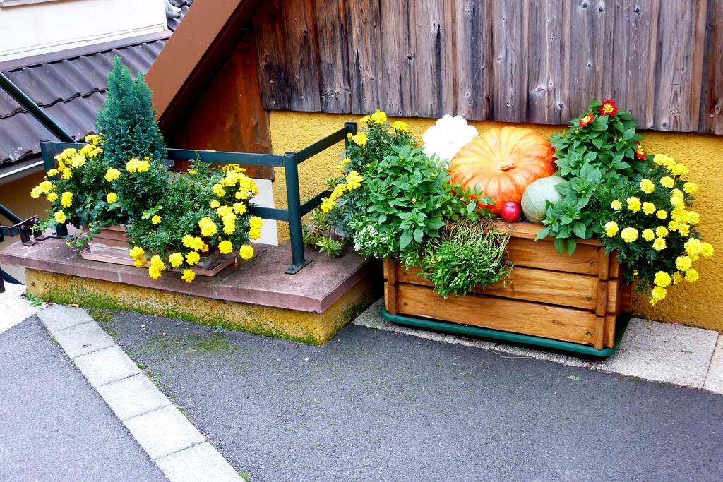 Willa Gite Schlitteur Et Sapiniere Breitenbach Zewnętrze zdjęcie