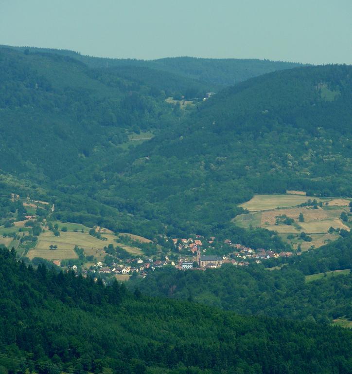 Willa Gite Schlitteur Et Sapiniere Breitenbach Zewnętrze zdjęcie