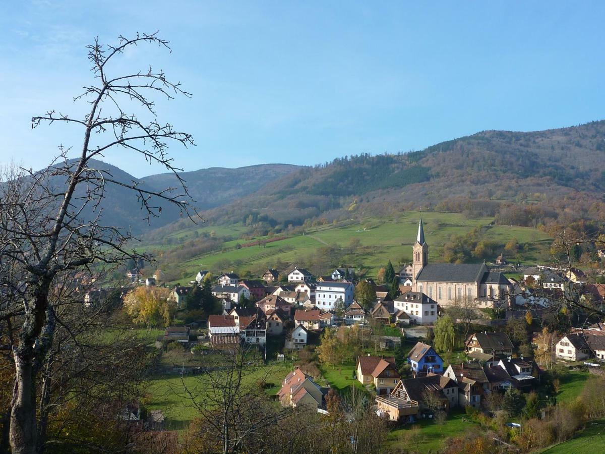 Willa Gite Schlitteur Et Sapiniere Breitenbach Zewnętrze zdjęcie