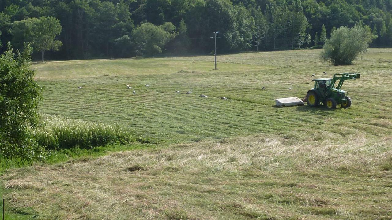 Gite Schlitteur Et Sapiniere Breitenbach Zewnętrze zdjęcie