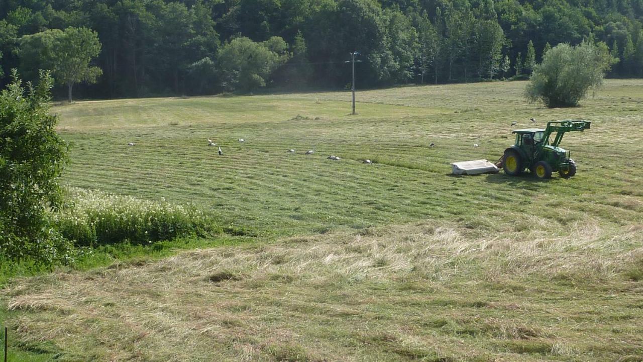 Willa Gite Schlitteur Et Sapiniere Breitenbach Zewnętrze zdjęcie